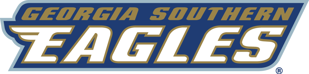 Georgia Southern Eagles 2004-Pres Wordmark Logo v2 iron on transfers for clothing